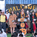 Halloween day 2024